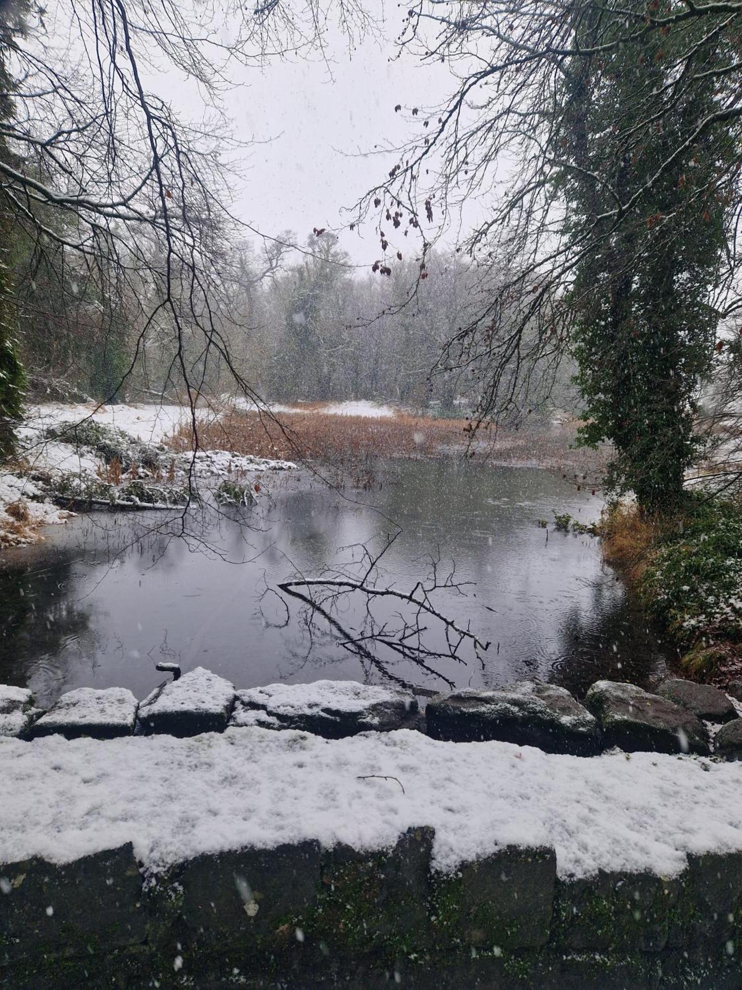 Oakdale, Templemore, E41F856 Dış mekan fotoğraf